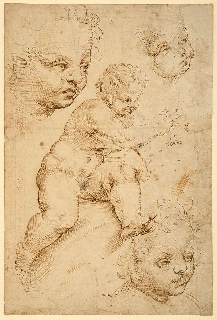 Studies of a Young Nude Child